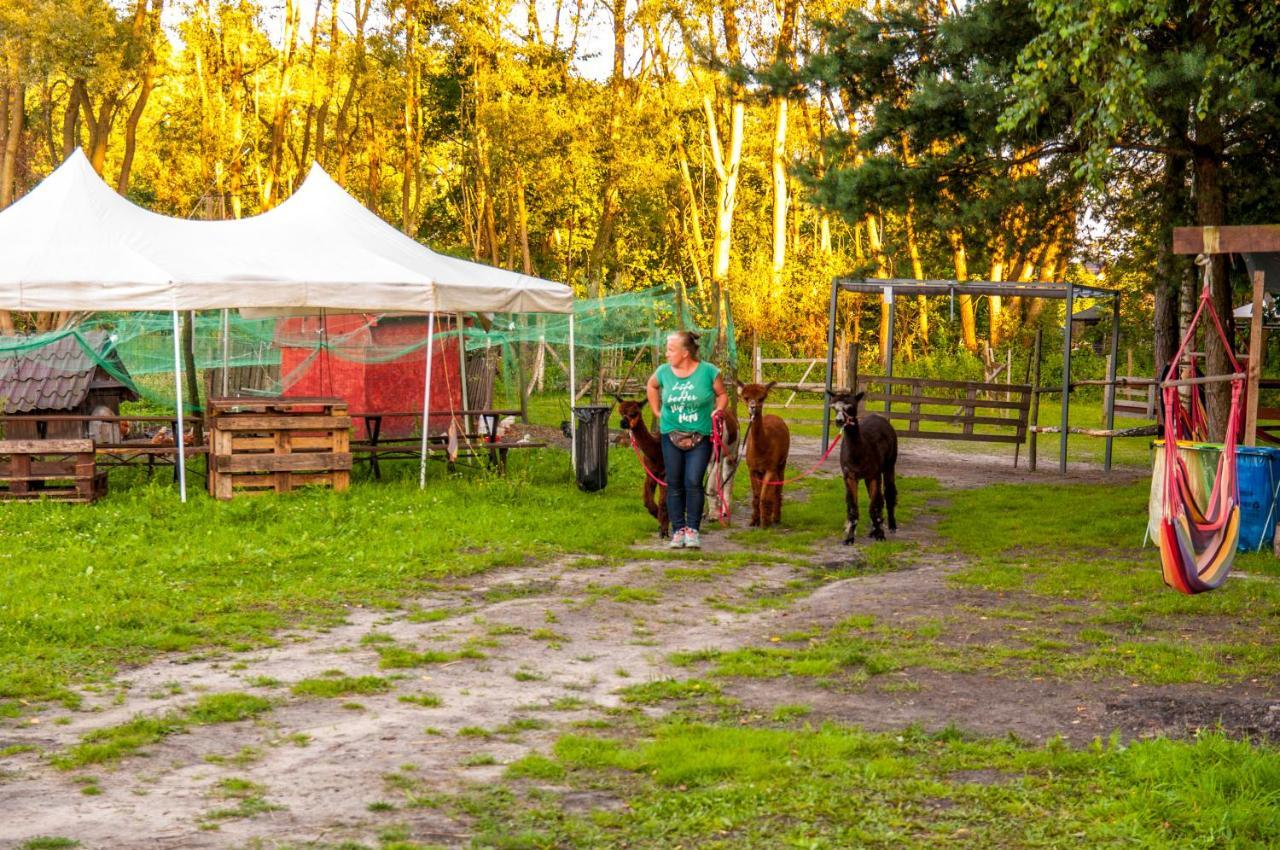 Glamping Z Alpakami Hotel Jankowice  Exterior photo